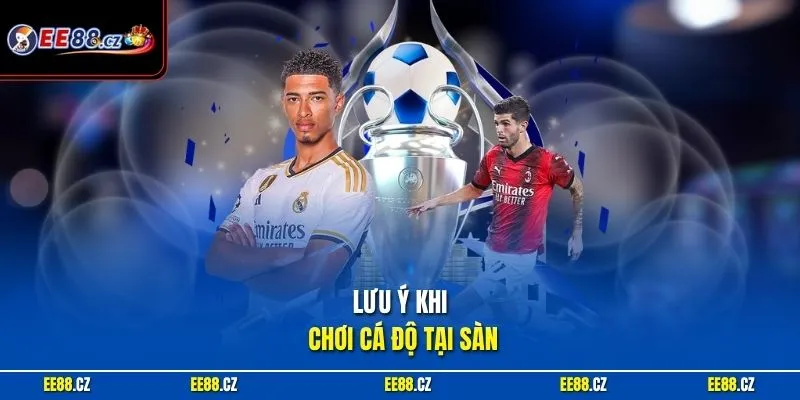 Lưu ý khi chơi cá độ tại sàn