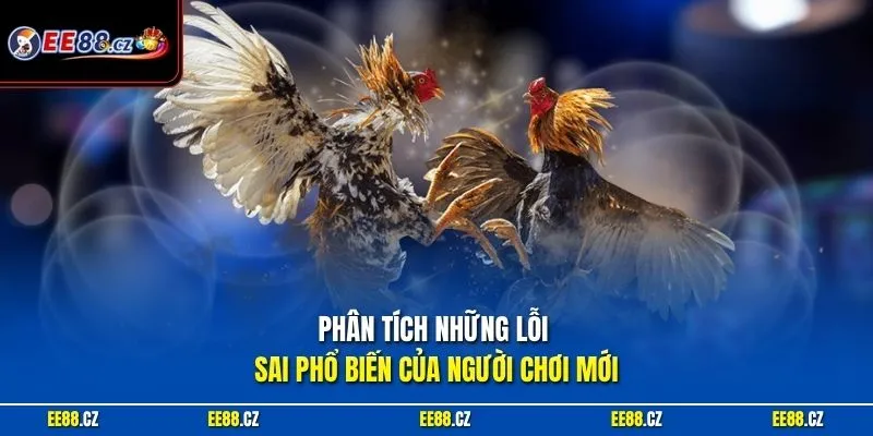 Phân tích những lỗi sai phổ biến của người chơi mới